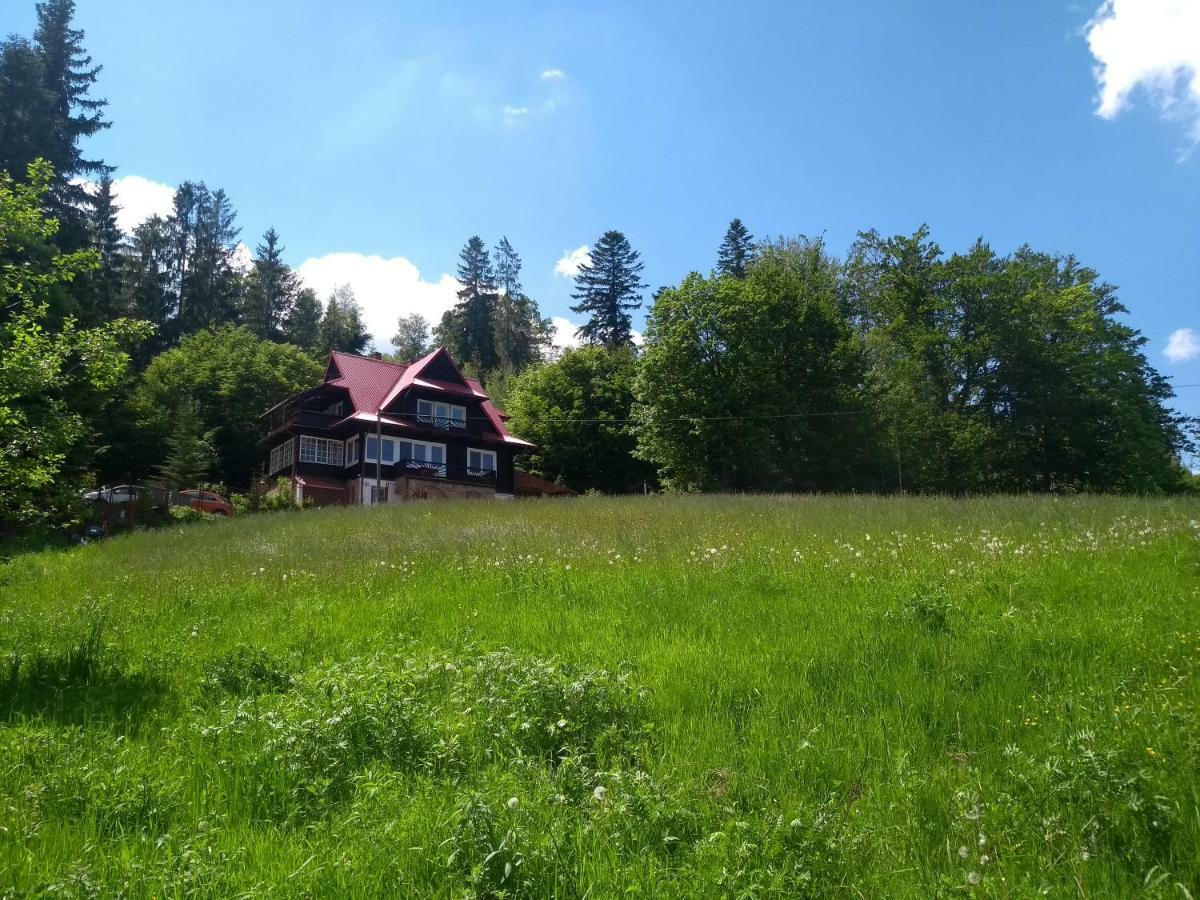 Willa Wislok Visla Exteriér fotografie